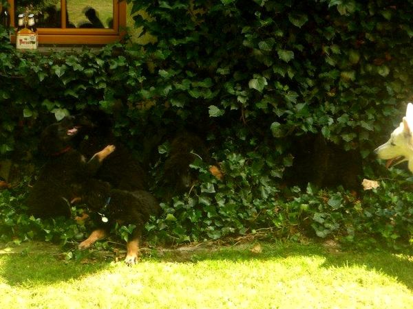 weiter spielen,